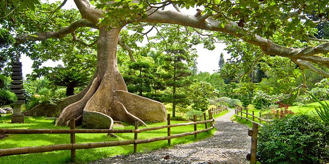 jardin botanique saint domingue