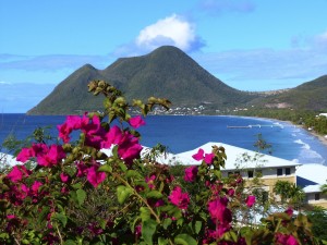 location voiture martinique